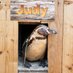 Judy Penguin (@judythepenguin) Twitter profile photo