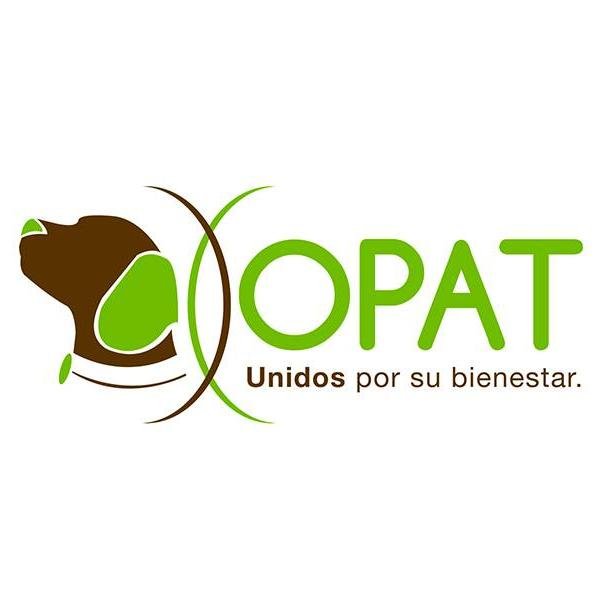 Somos una organización ciudadana que busca hacer una alianza entre la sociedad y las autoridades sumando esfuerzo para fomentar el bienestar animal