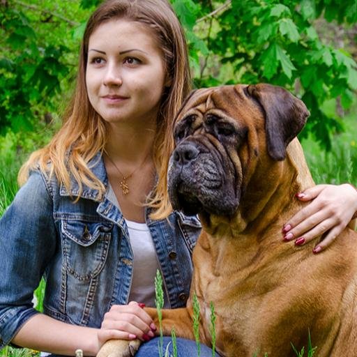 Have fun with our Big Dog Supplies channel! Do not miss discounts on this page on the high quality professional training equipment!