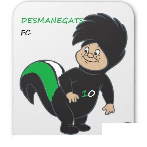 Cuenta oficial de los Desmanegats FC, del grupo E de Segunda División en la muy prestigiosa Universidad Jaume I