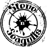 Steve'n'Seagulls(@SeagullsBand) 's Twitter Profile Photo