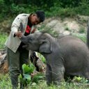 satria daulay (@0032daff59bb41f) Twitter
