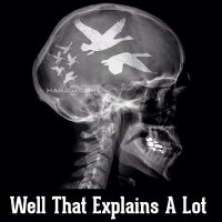 Quack Head (@head_quack) 's Twitter Profile