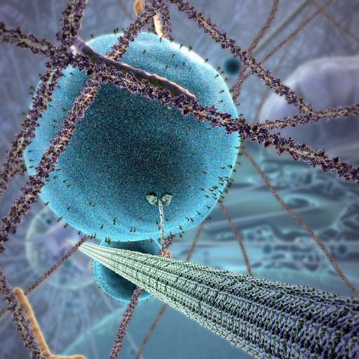 XVIVO is an award-winning scientific animation studio. We help communicate complex science via compelling visual productions.