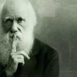 AG_EvoBio's profile picture. Evolution in Biologie, Kultur und Gesellschaft