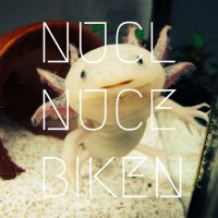 日本大学経・法美術研究会 (@n_biken) 's Twitter Profile Photo