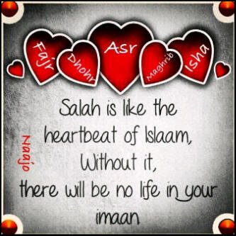 naskadz's profile picture. 