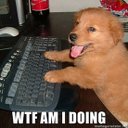 Corey Good - @corey_good92 - Twitter