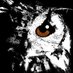 idler_owl (@acv_idler_owl) Twitter profile photo idler_owl (@acv_idler_owl) Twitter profile photo