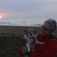 Chiqui (@anamerino5026) 's Twitter Profile
