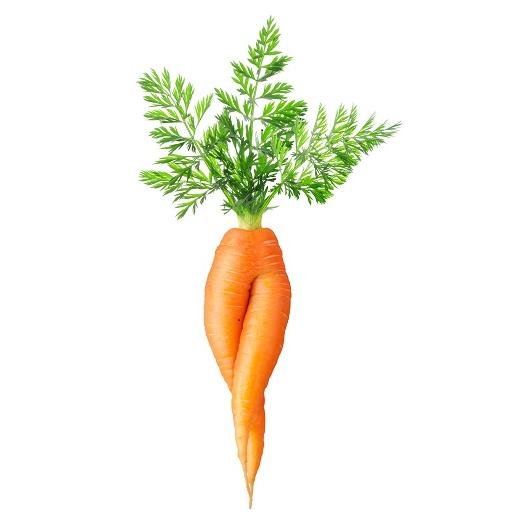 knaagvoer's profile picture. Zet graag haar tanden in dilemma's