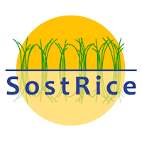 CO2 Emission Reduction of the Rice Cultivation through Energy Valorisation of the Rice Straw