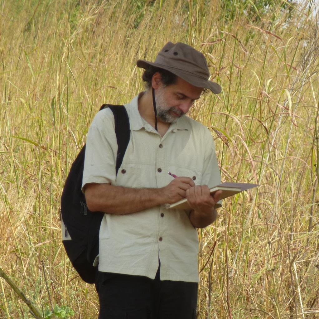 Agroecological Research - @ird_fr
Director of Eco&Sols research unit
