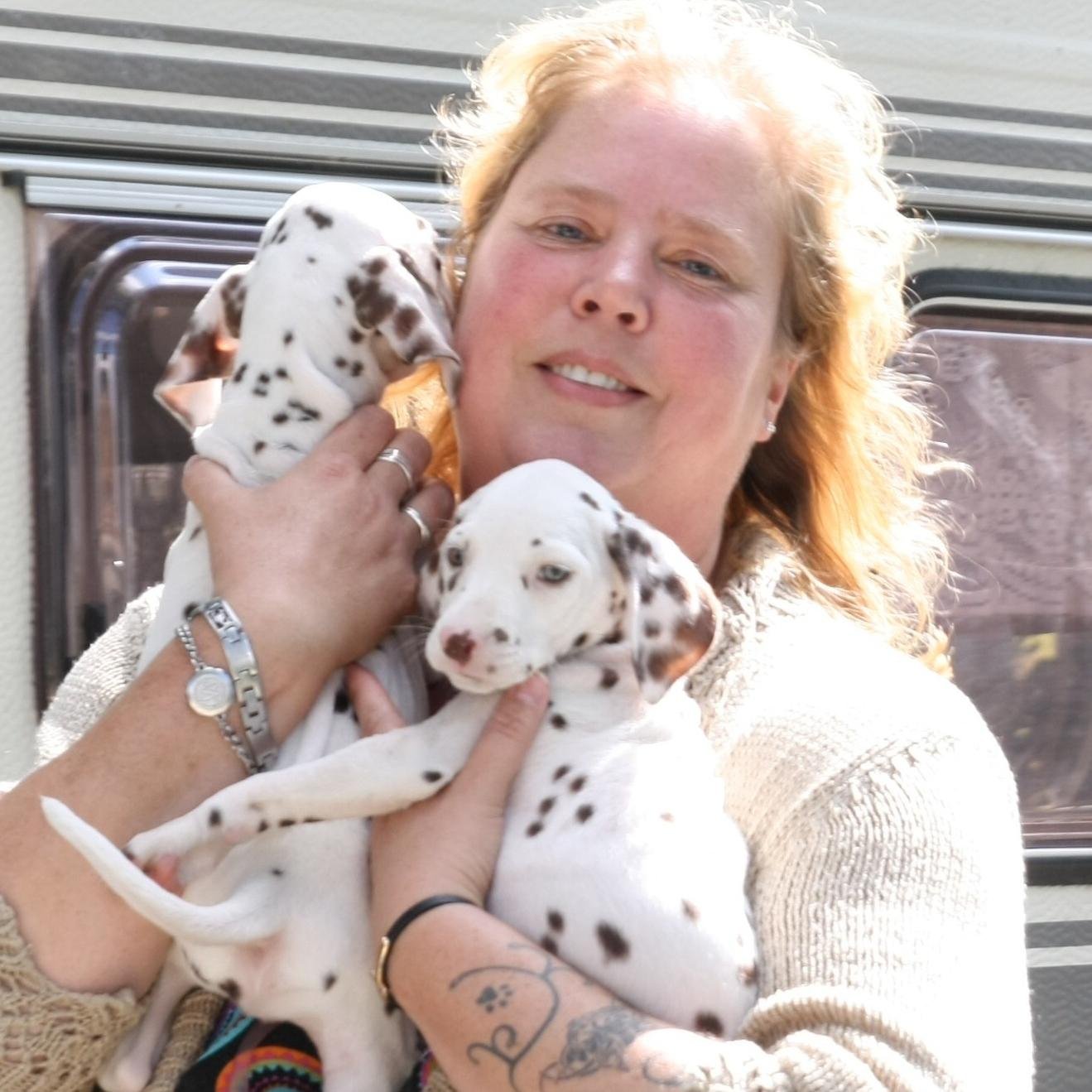 AngaraZwart's profile picture. 