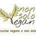 NON SOLO VEGAN (@nonsolovegan) Twitter profile photo