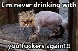 Maddogg069's profile picture. Member of https://t.co/TpgsfAZXln clan.  watch this, oh and hold my beer.