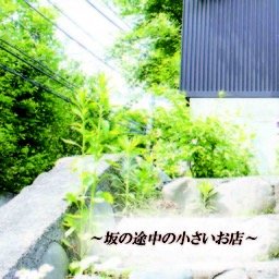 アクセサリーを作ってます！
青、水色、猫、月とか好きです。これ関連の商品とか割と作ったりしてます。学生のうちはどんどん作って行きたいと思います！