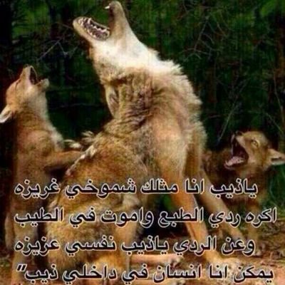 اللهم ارحمم ماجد رحمة واسعه .