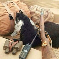 حموووووودي (@mhmad342) Twitter profile photo