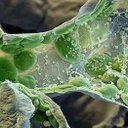 Sylvia Zárate - @sylviazarat - Twitter