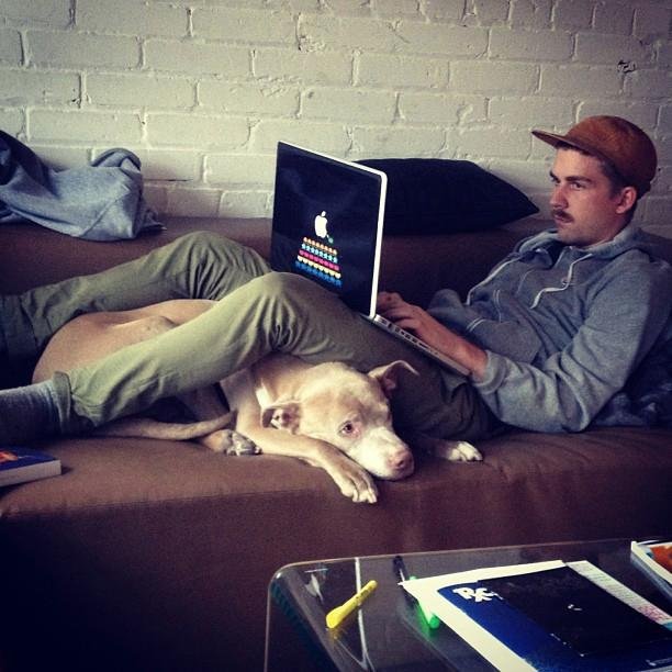 lubybear's profile picture. Apparently, a place for me to complain about the Internet. Web dev at @shopify