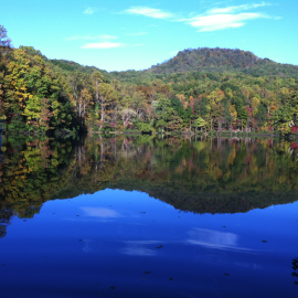 Professor @virginia_tech | Freshwater ecosystems & data science | Studying and forecasting the ecology of lakes and reservoirs in a changing world