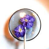 baker_best's profile picture. Handmade Edible Gifts/Favors,Infused Cocktail/Mocktail Supply, Fresh Edible Flowers, Herbs and Greens Overnight Included scheduled for your event!