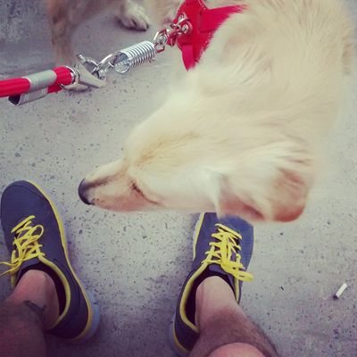 kampitofreak's profile picture. Es pero no es, pero es. Algo así.