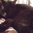 Lorelei Meyer - @lorelei_meyer - Twitter