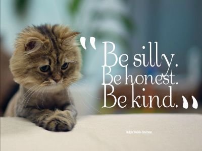 momvoter's profile picture. Gun sense voter. Mom. Liberal Democrat. Working for social justice and equality. The perfect day: animals, the ocean, good books, friends, laughter. #UniteBlue