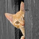 Mable Booth - @mable_booth - Twitter