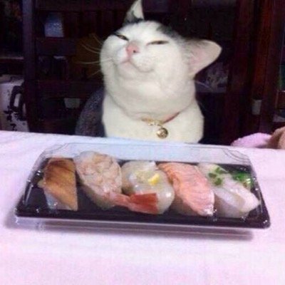 ellyjademermaid's profile picture. 