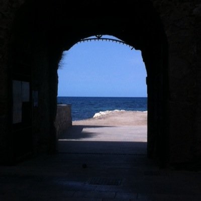 leti_bico's profile picture. 