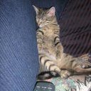 Carly Laughlin - @Carly_Creative - Twitter