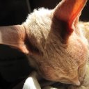 Anders Pettersson - @anderspttrssn1 - Twitter