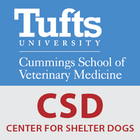 Center for Shelter Dogs(@Ctr4ShelterDogs) 's Twitter Profileg