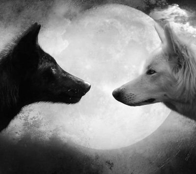 plzA_'s profile picture. 