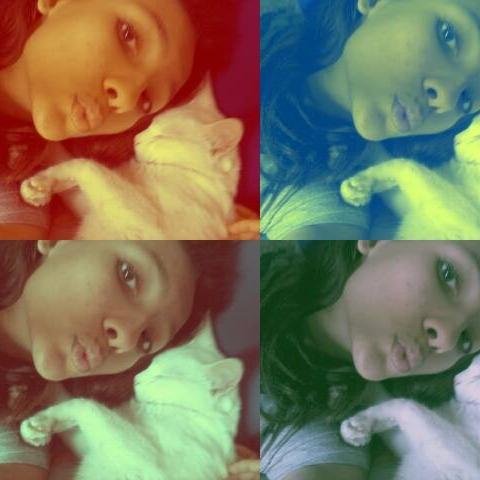 ✌~FODA-SE~✌