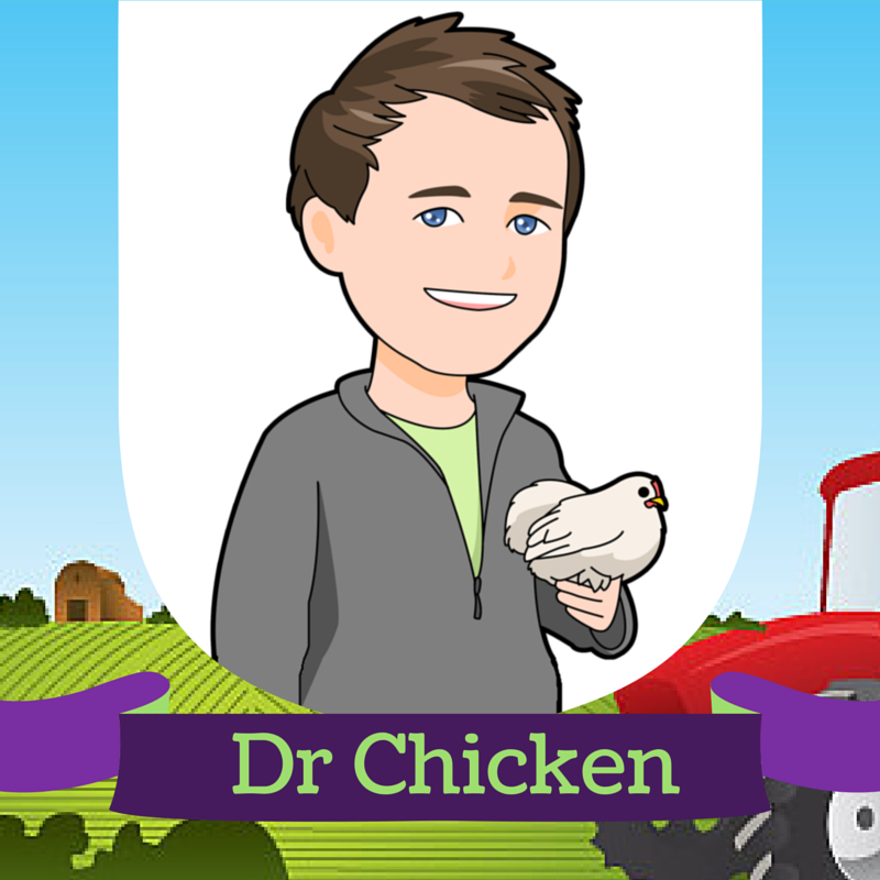 Chicken obsessed vet 👨🏻‍⚕️ Promoting responsible chicken keeping through pet owner education, poultry courses, incubator hires and pet sitting!🐓🦃🦆🦅