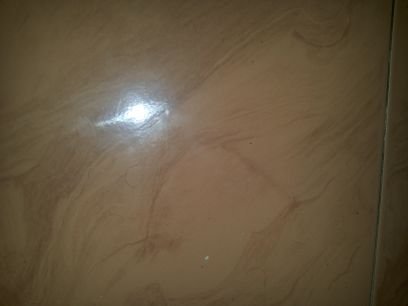 ganeshan_nivesh's profile picture. Iam user-friendly and a loving person.