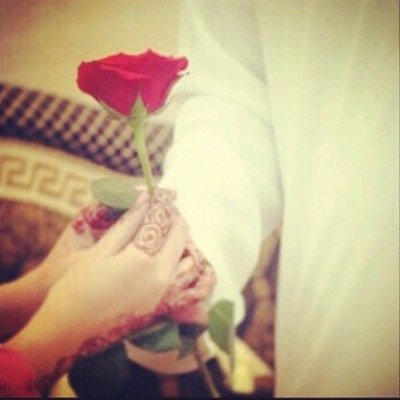 AamlM7's profile picture. الجمال يخطف العين ، لكن الاسلوب يخطف  القلب”