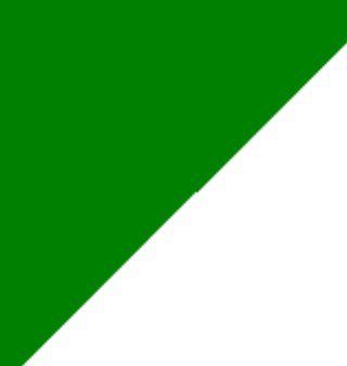 One of 8 Clubs to share the honourable distinction of being the first to play a GAA match under Gaelic Rules on 15th February 1885!!
Leinster Champions 2000!