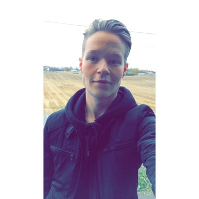 liker mat og katt