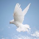 Christopher Selph - @cselph144 - Twitter