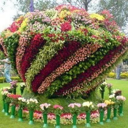 5fcec34693bf483's profile picture. 