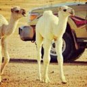 .. (@59926b60748248c) Twitter