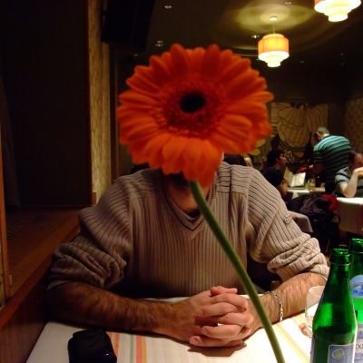 l'aventure c'est l'aventure !  Exclusively providing X chromosomes.
Some say I do FrontEnd Dev.