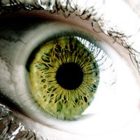 ΞFULA (@dr3fula) 's Twitter Profile Photo ΞFULA (@dr3fula) 's Twitter Profile Photo
