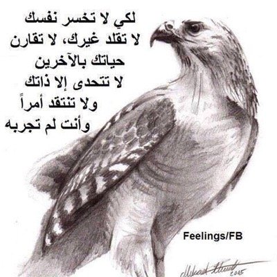 {يَعلَمُ خَائِنَةَ الْأَعيُنِ ومَا تُخفِي الصُّدُور} إحساس رائع عندما تصرف نظرك عن صورة عارية، أو منظر قبيح؛ لأنك أستشعرت مراقبة الله لك. *