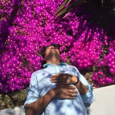 lolcatstevens Profile Picture